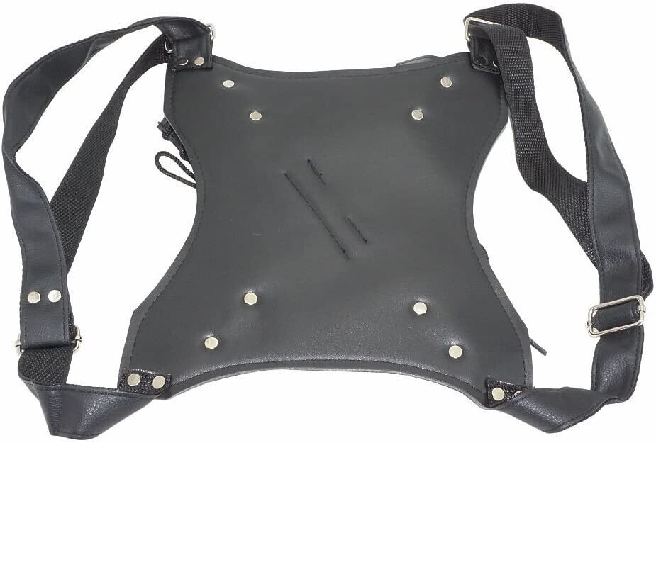 Double Sword Back Holder Harness