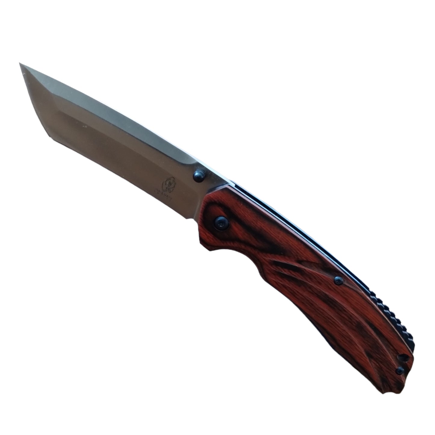 Stainless Steel Tanto